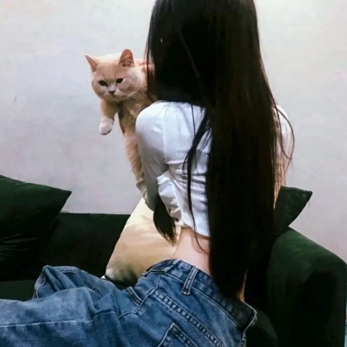猫和老鼠旧版