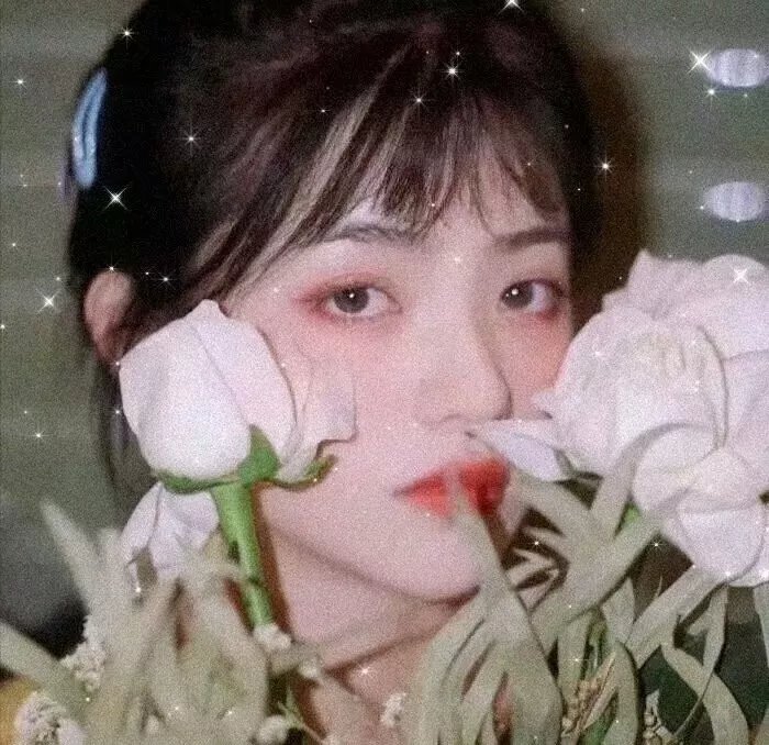 铁拳:血之复仇
